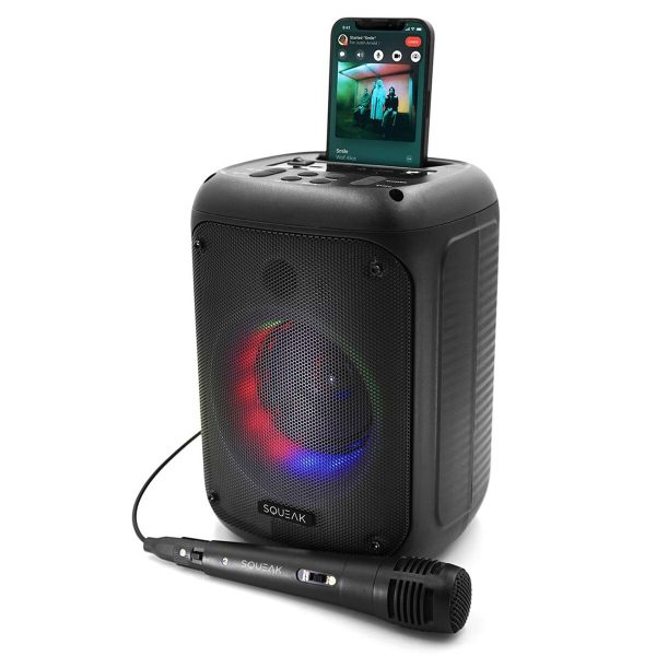 Portable Bluetooth Speakers SQUEAK SQ1005 Black 40 W Online